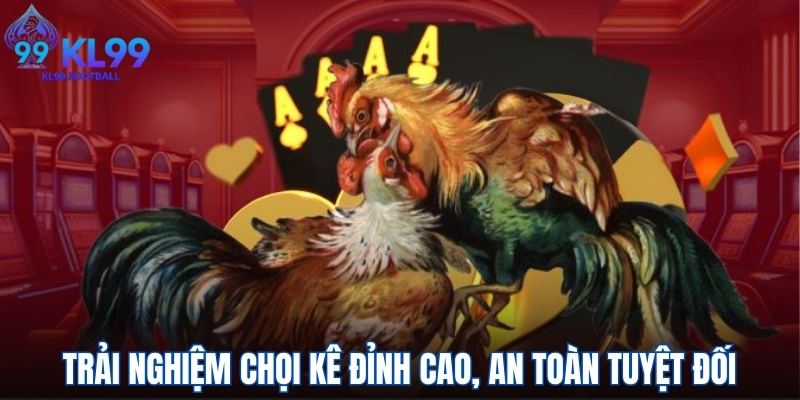 Trải nghiệm chọi kê đỉnh cao, an toàn tuyệt đối